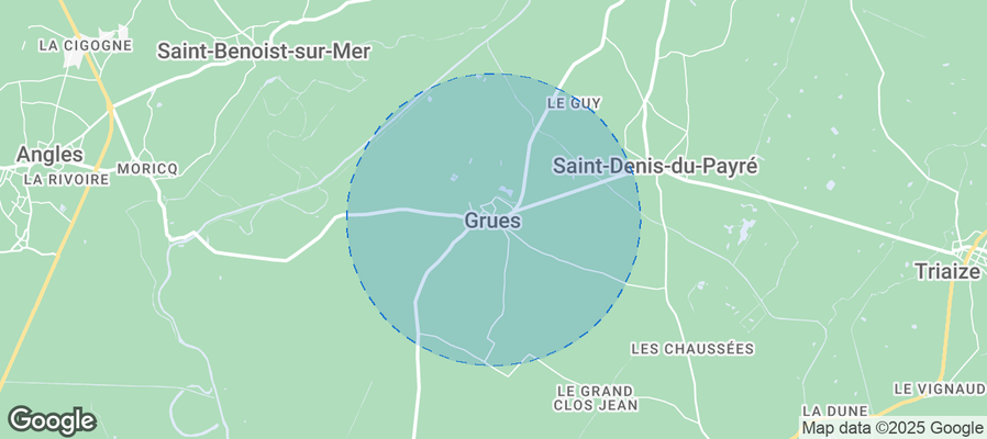 Discover Grues Airbnb Analytics